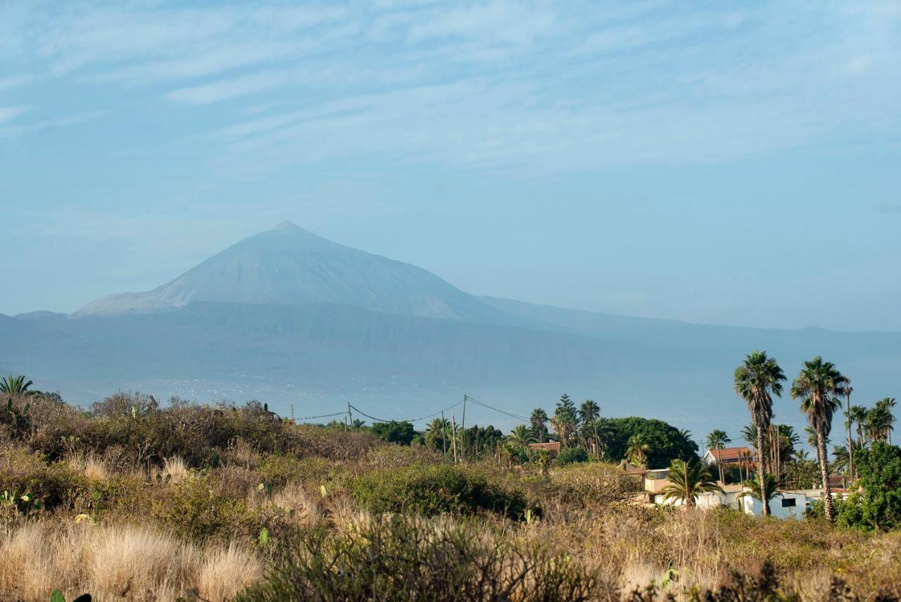 Jalon De Cameros Tacoronte Buitenkant foto